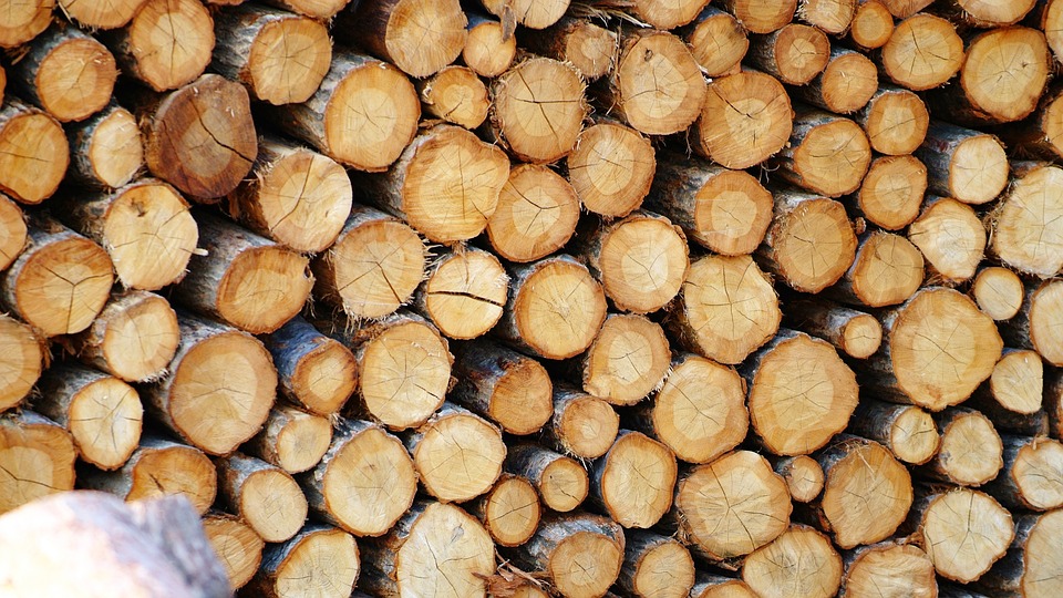 Wat is het verschil tussen hardhout en zachthout